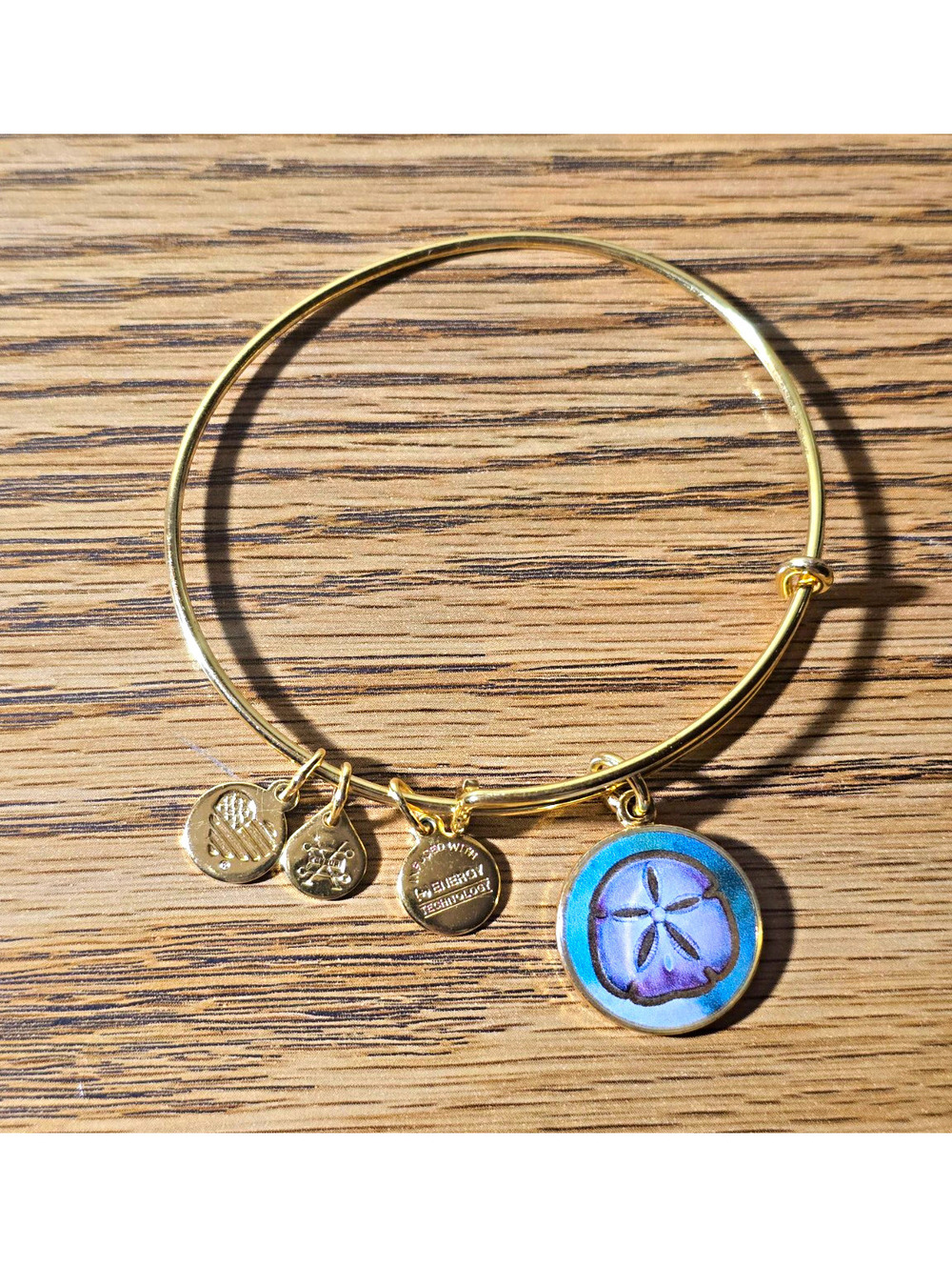 Alex and Ani Sand Dollar Bangle Bracelet Gold Tone Faith Brings Miracles 2016